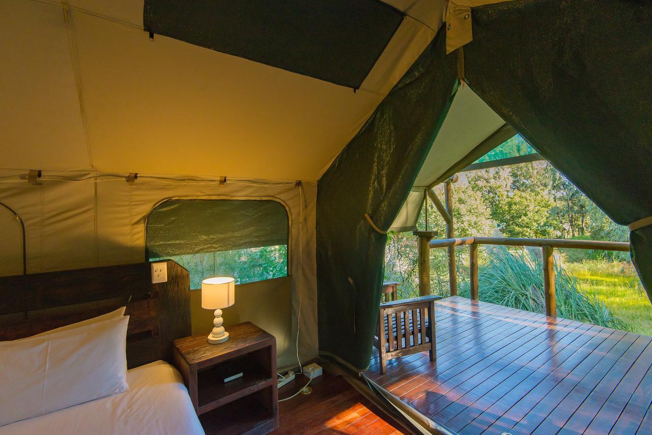 Amadwala Lodge Roodepoort Oda fotoğraf