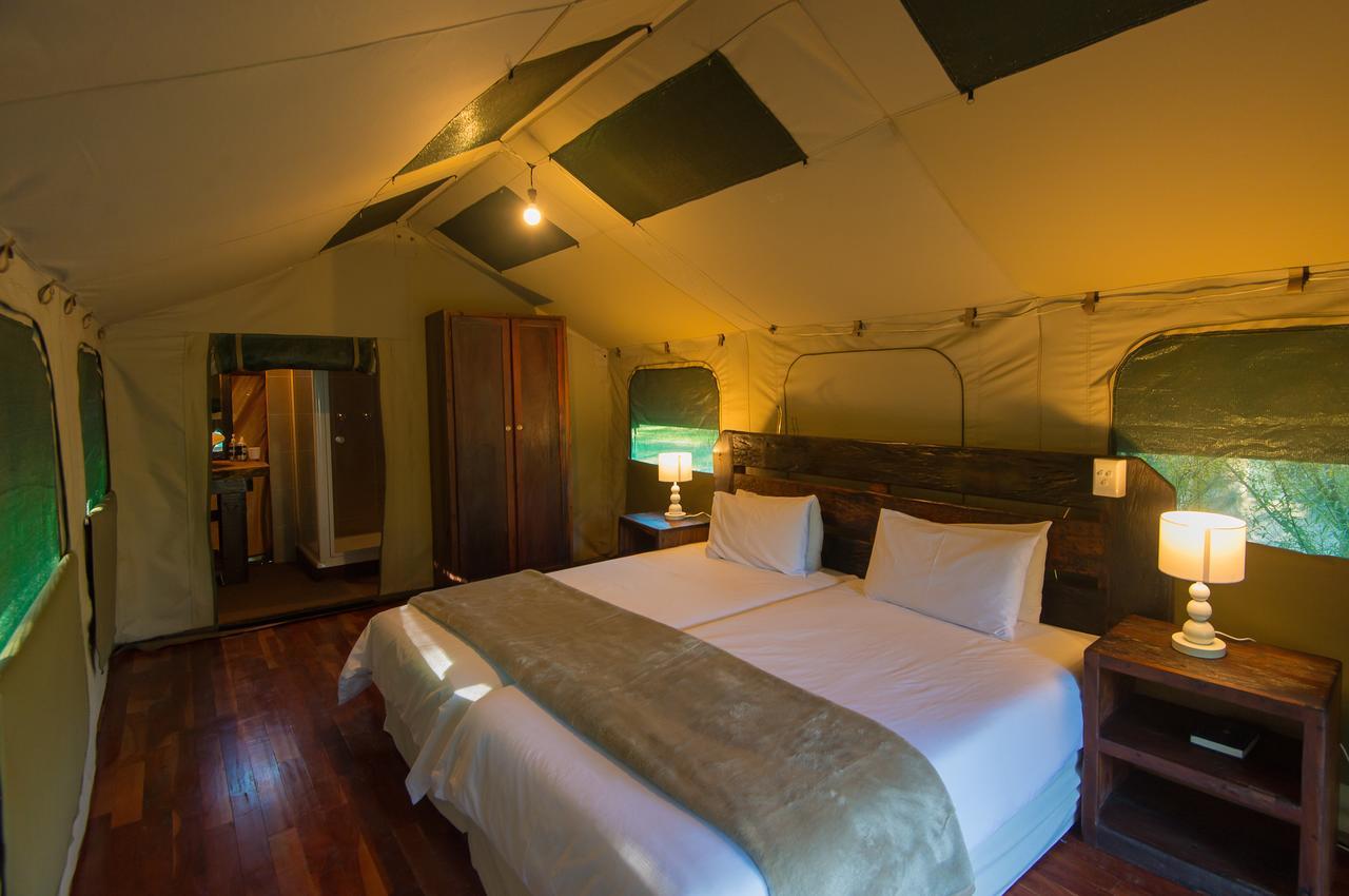 Amadwala Lodge Roodepoort Oda fotoğraf